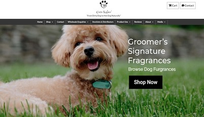 Client Case Study: Coco Kaboo