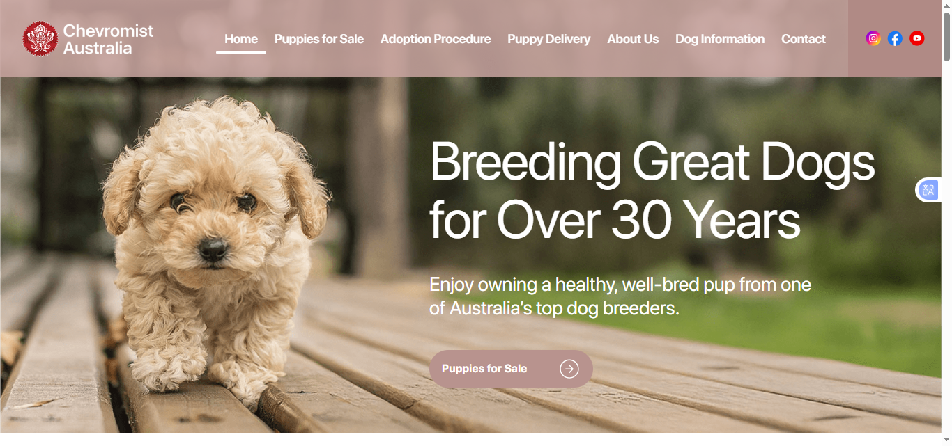 chevromist australia